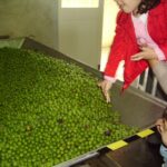 A scuola di olio