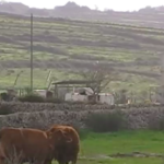 Contrada Tresauro a Ragusa