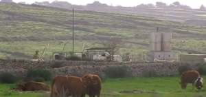 Contrada Tresauro a Ragusa