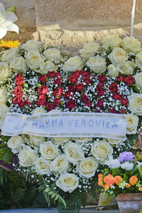 Davide: Non mi sono accorto del cuscino di fiori di Veronica