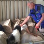 Il cane Polpetta dorme con Salvo