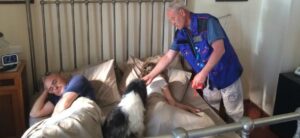 Il cane Polpetta dorme con Salvo