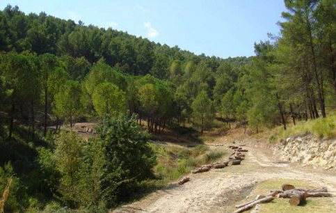 Escursione al Museo Aperto di Giarratana e Bosco di Calaforno