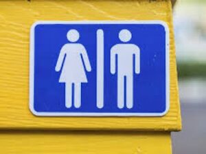 Toilette