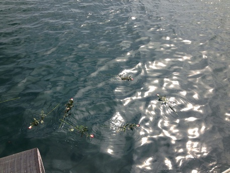 Insulina in mare, bimba muore su barcone