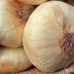 La cipolla di Giarratana