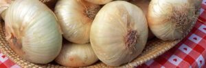 La cipolla di Giarratana
