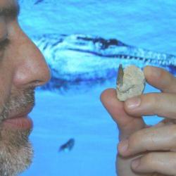 Gianni Insacco e il dente
