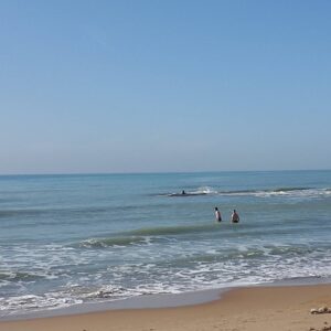 Il mare di Montalbano