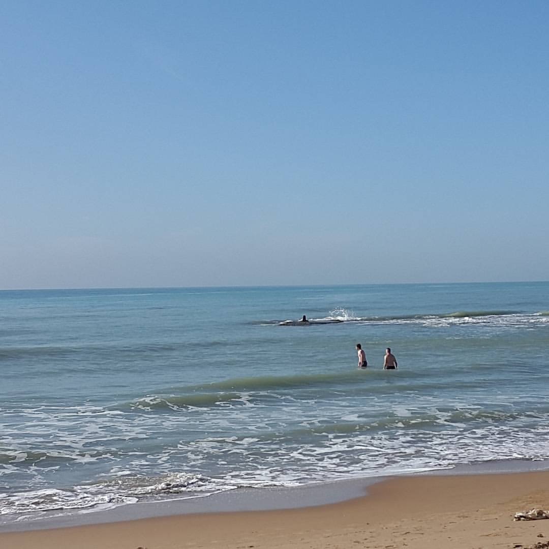 9 gennaio, nel mare di Montalbano si fa il bagno