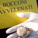 Bocconi avvelenati