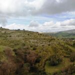 La zona dell'abuso