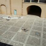 Castello principi di Biscari