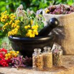 erbe medicinali