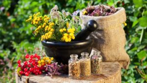 erbe medicinali