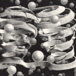 Escher