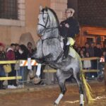Danza equestre spagnola