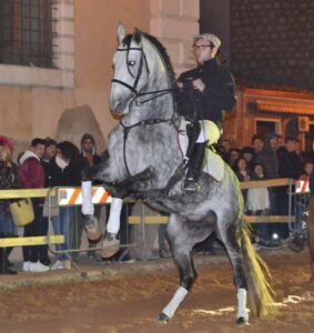 Danza equestre spagnola