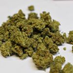 marijuana