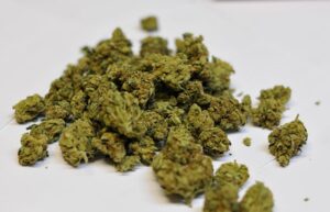marijuana