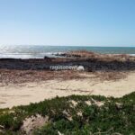Incendio alle canne
