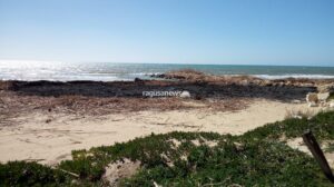Incendio alle canne