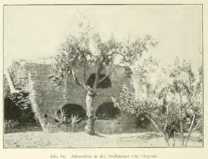 Girgenti