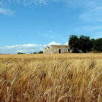 paesaggio rurale