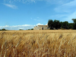 paesaggio rurale