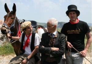 La lunga strada gialla