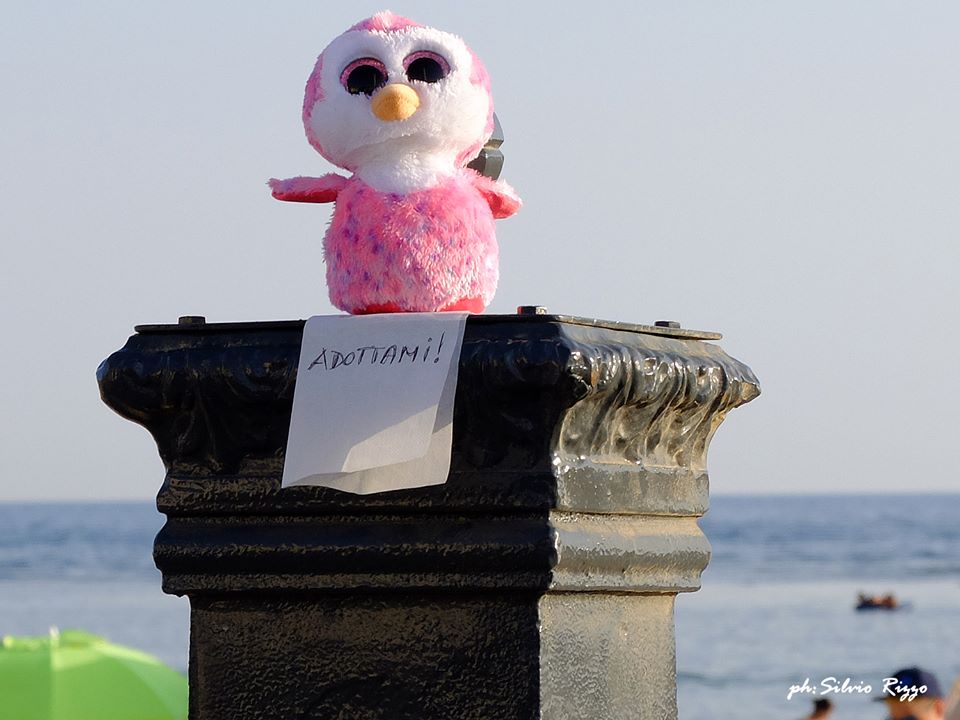 E il peluche chiese: adottami