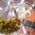 numeri del lotto