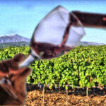 Vino sull'Etna