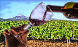 Vino sull'Etna