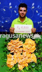 4 chili e 800 grammi