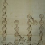 L'albero genealogico