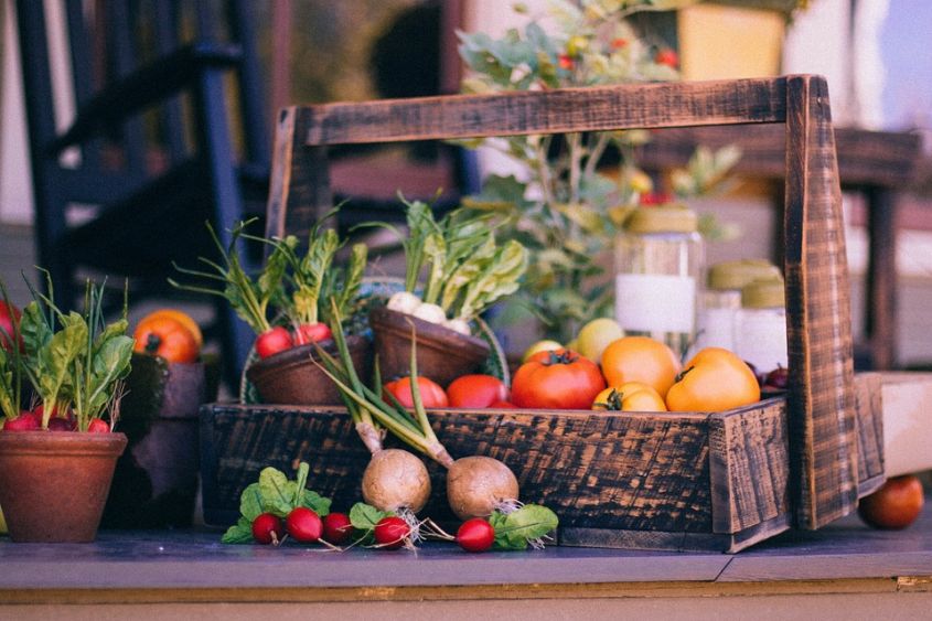 Dieta dell’inverno. 10 cibi rafforzano le difese immunitarie