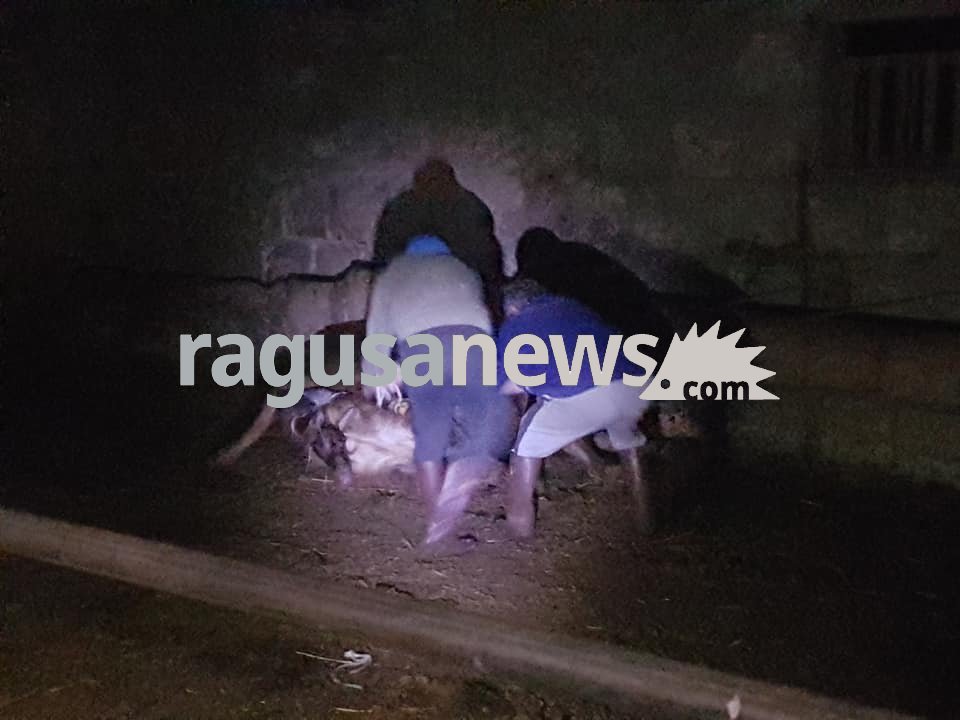 Santa Croce, sfratto azienda Occhipinti: dovranno lasciare casa