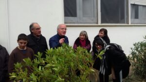 L'albero