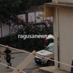 Albero caduto a santa croce