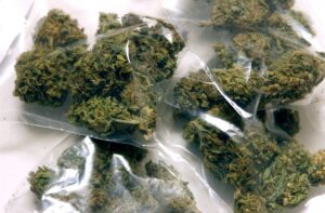 marijuana