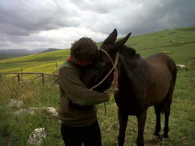 La Sicilia a dorso di mulo. Da Punta Secca a Castel di Tusa