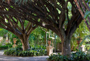 orto botanico catania