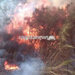 incendio