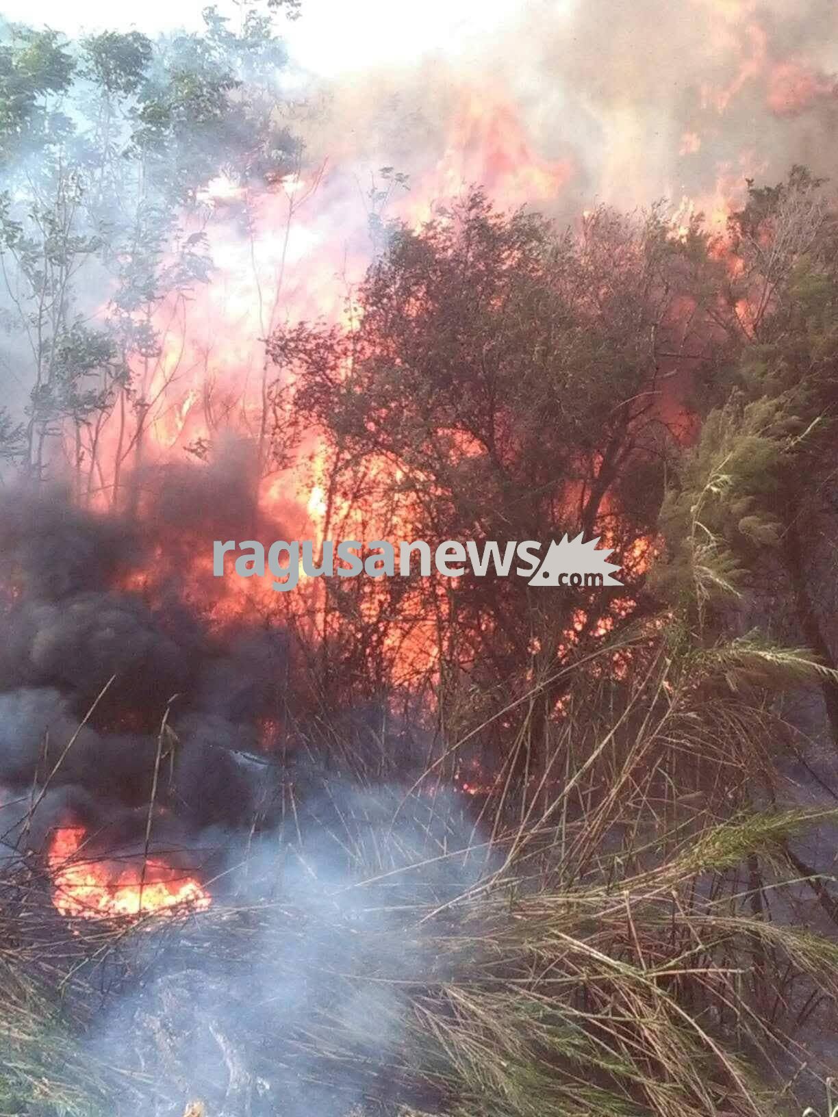 Riprende incendio nel bosco di San Pietro, in arrivo i canadair. FOTO