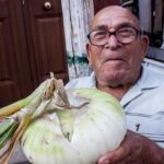 Una mega cipolla di Giarratana