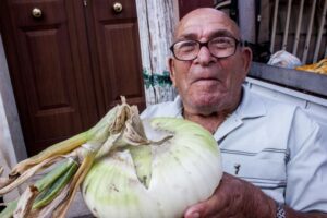 Una mega cipolla di Giarratana