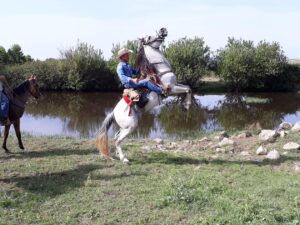 trekking a cavallo
