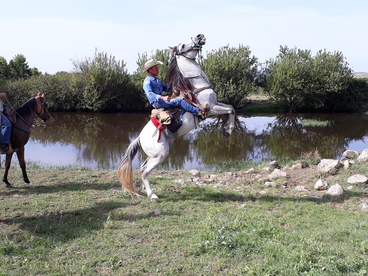 A Giarratana si fa trekking a cavallo