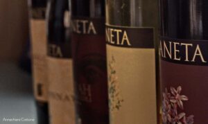 vini planeta